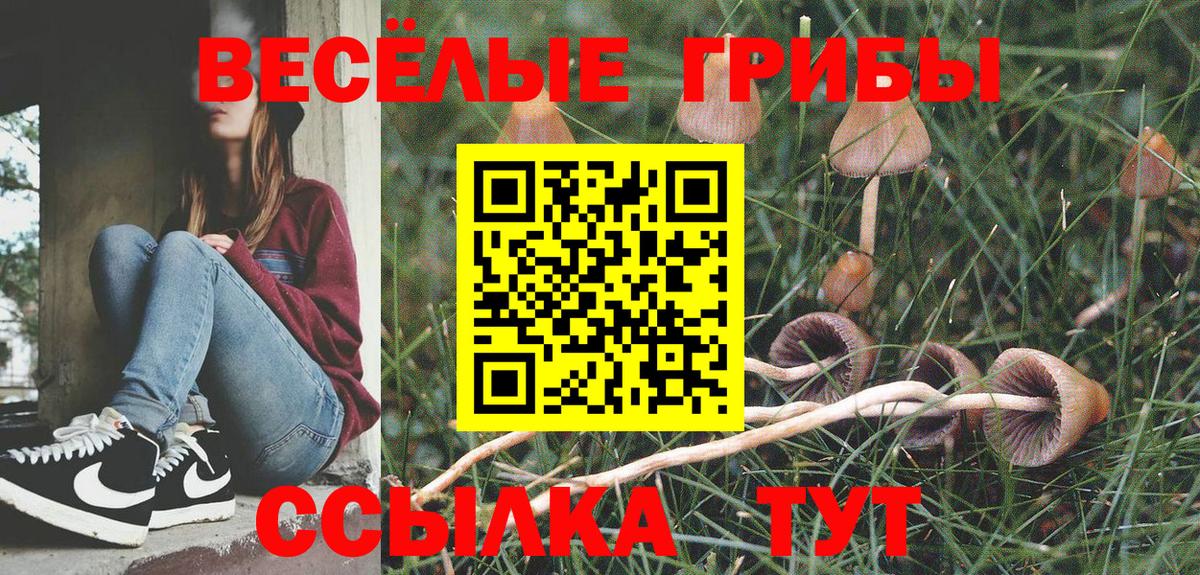 Богородск  Галлюциногенные грибы Psilocybe  купить наркоту  Галлюциногенные грибы Psilocybine cubensis  Вход с VPN 