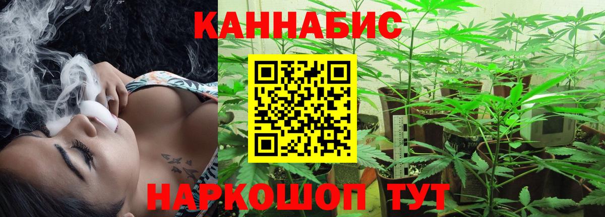 Богородск  Канабис SATIVA & INDICA  Канабис гибрид  Вход с VPN  Бошки марихуана ГИДРОПОН 
